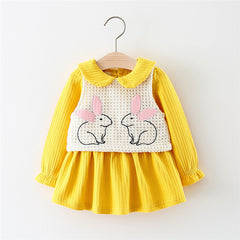 Adorable Tutu dress with Rabbit Vest